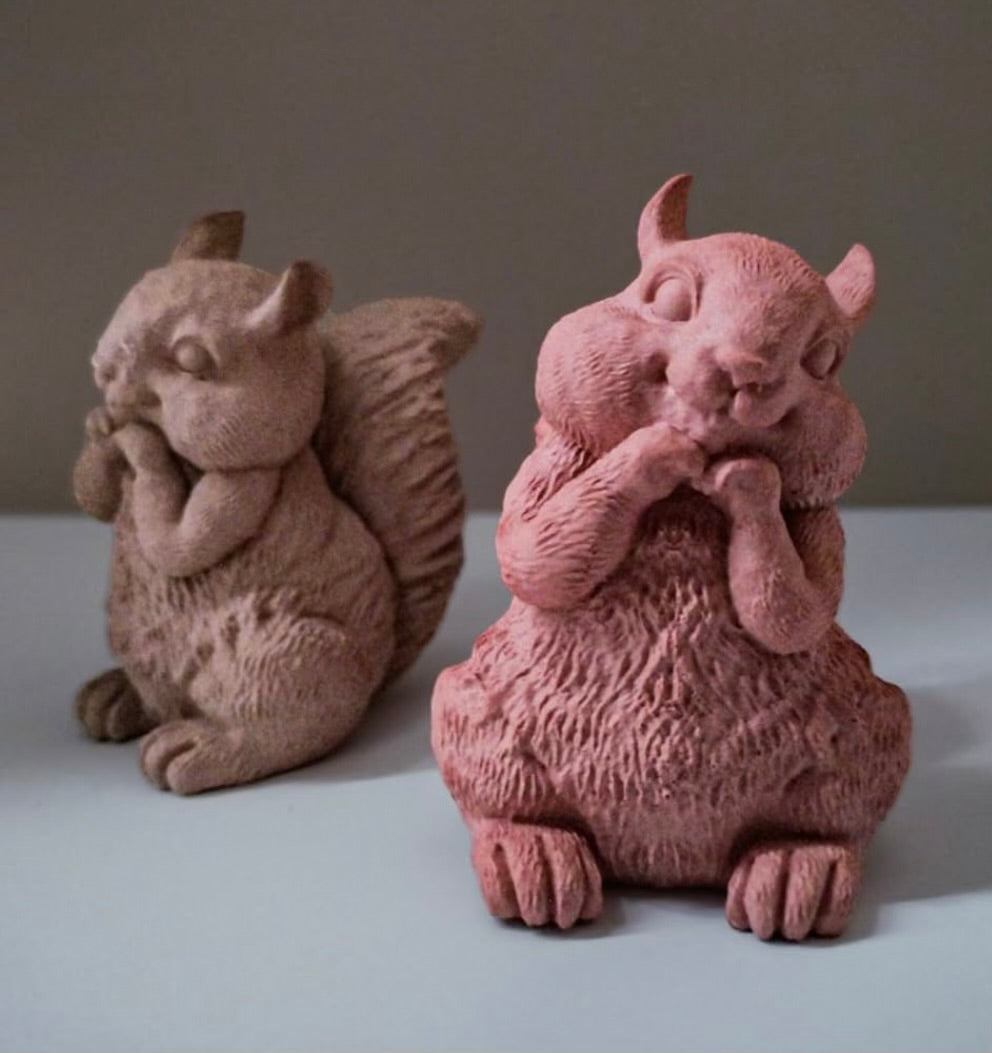 Adorable Squirrel 🐿️🍂🤎