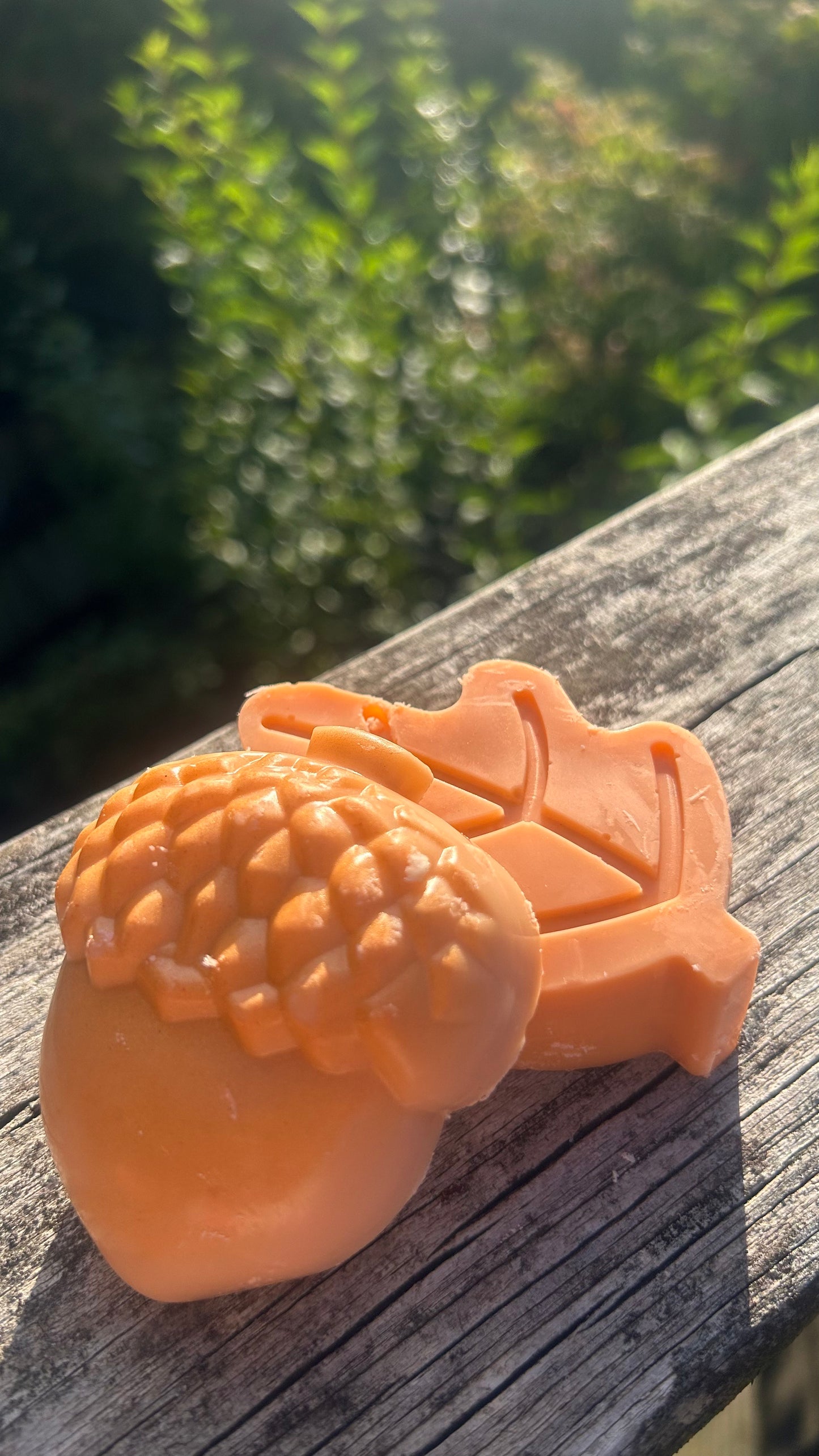 Acorn and leaf melts 🍁