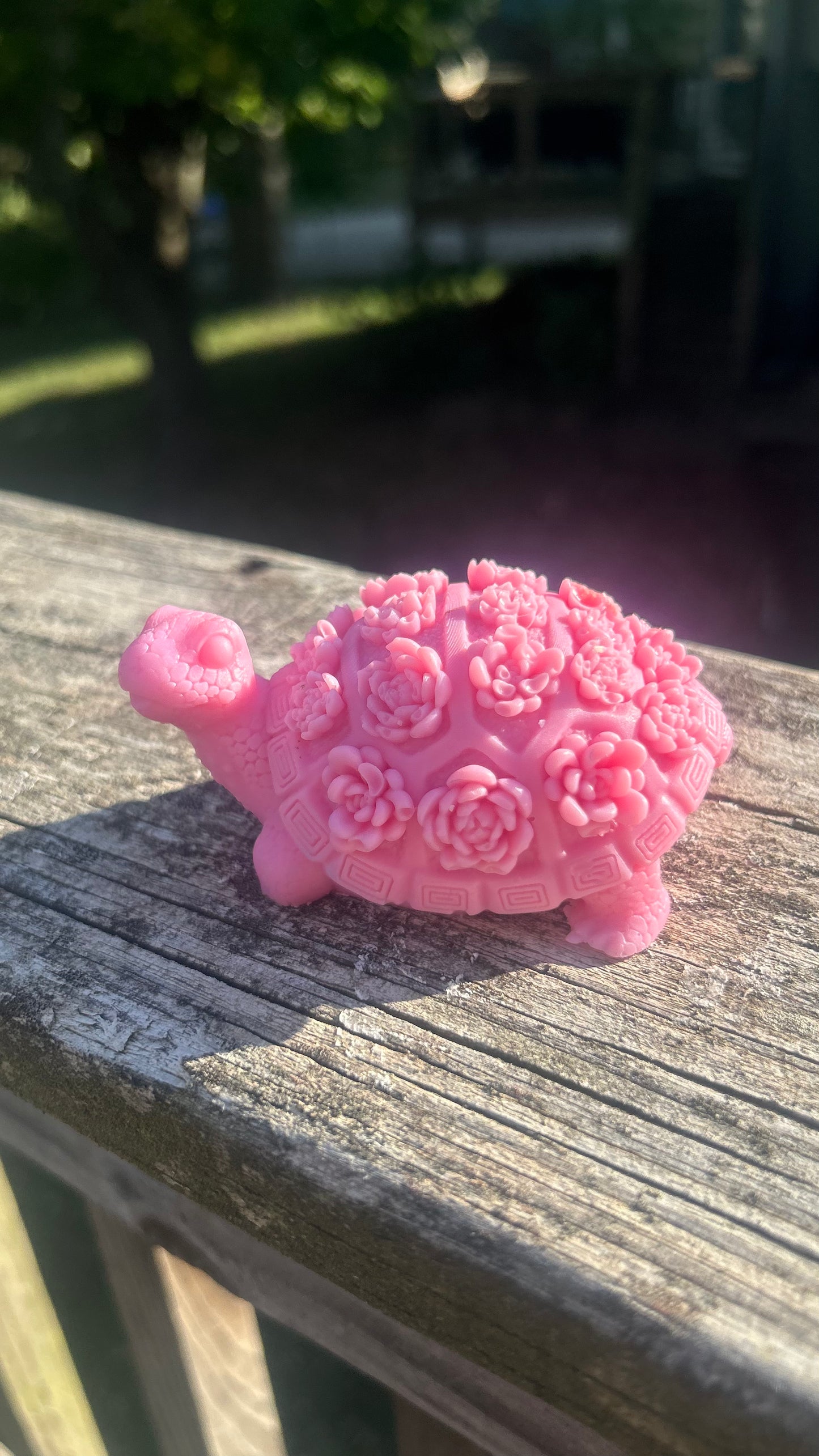 Turtle w/flowers