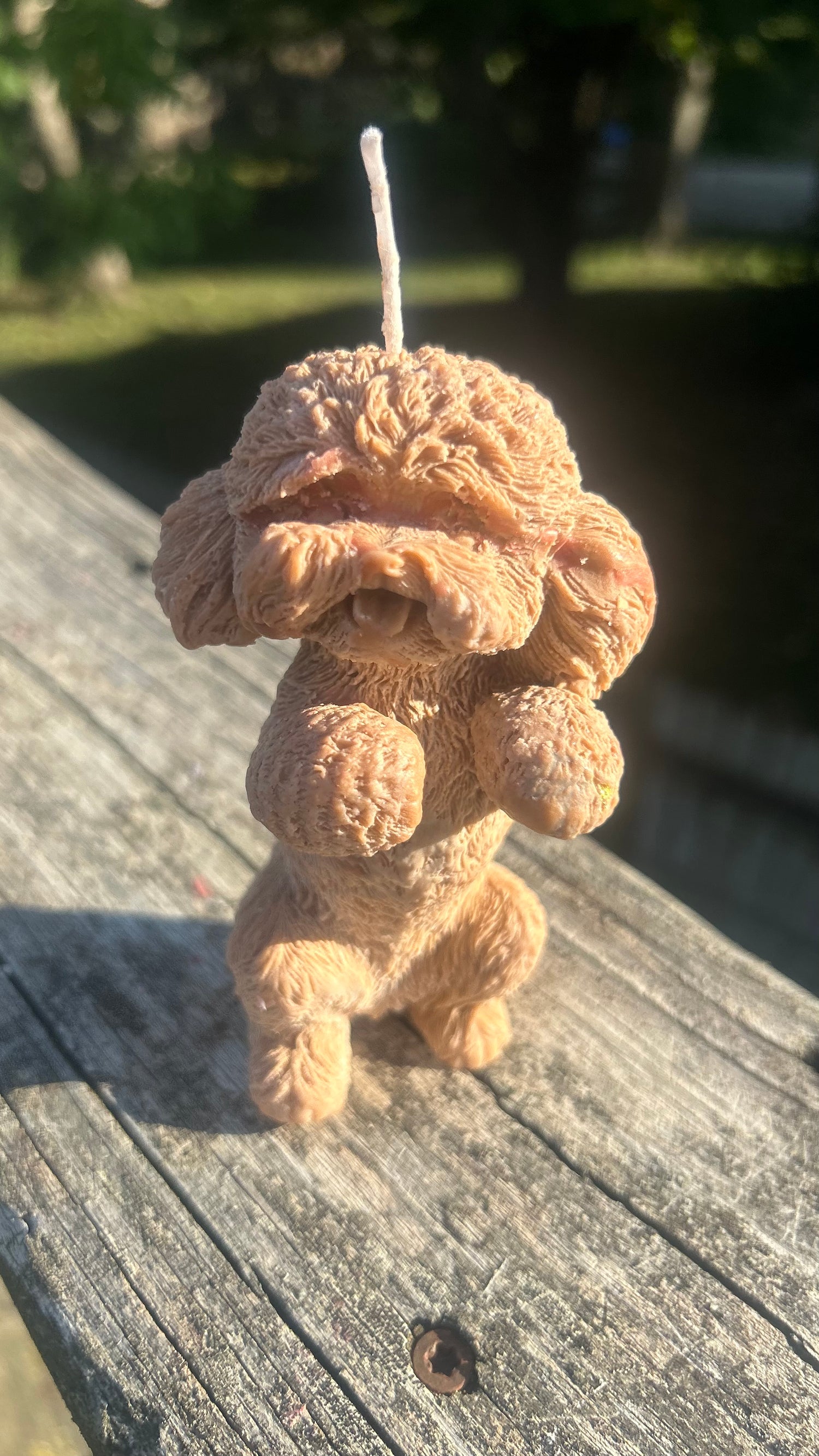 Dog lovers 🐶🐕🐾🐩🦴