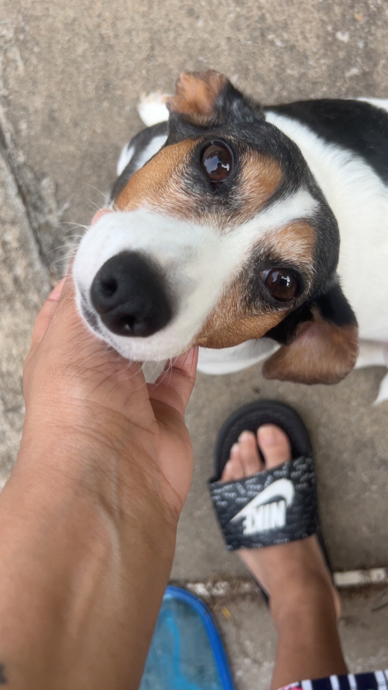 Happy Snoot