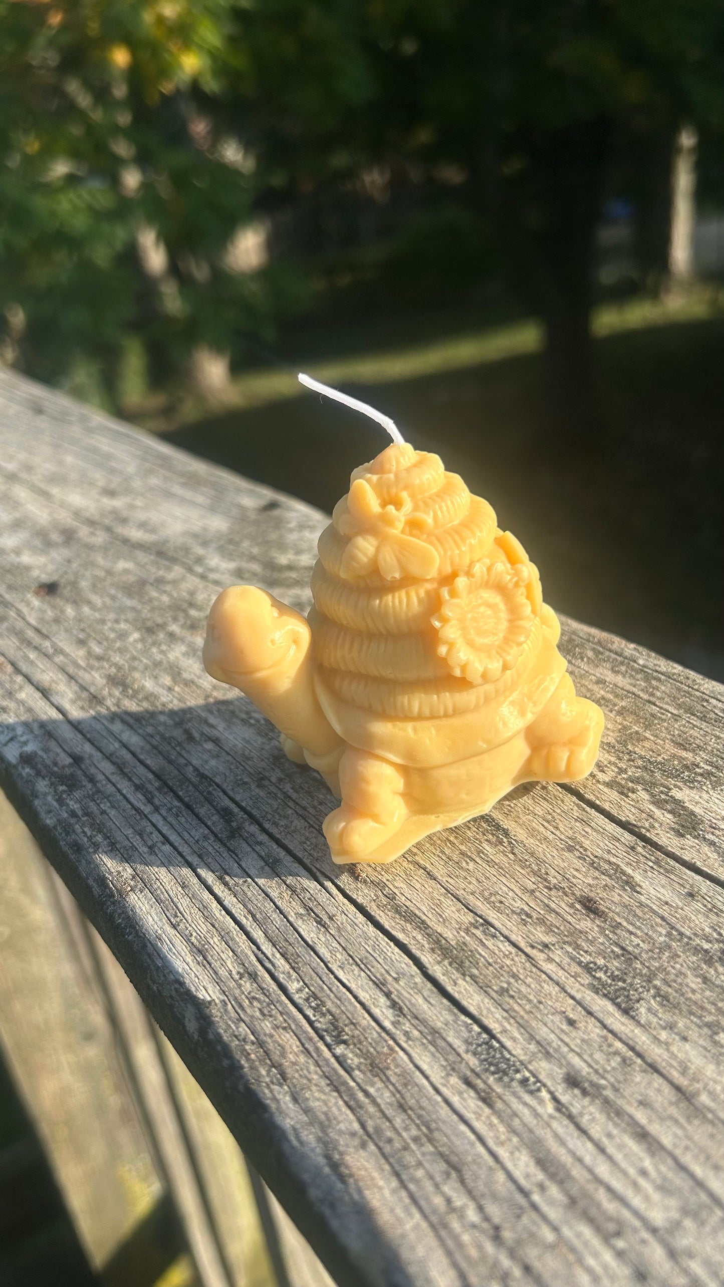 Honeycomb turtle candle 🐢🐝🍯🌻