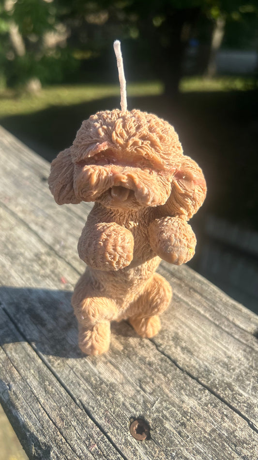 Cats & Dogs Bow Candles