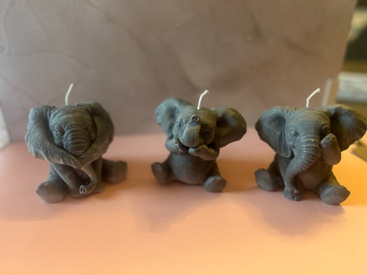 Hear, Speak, See no Evil Elephants 🐘