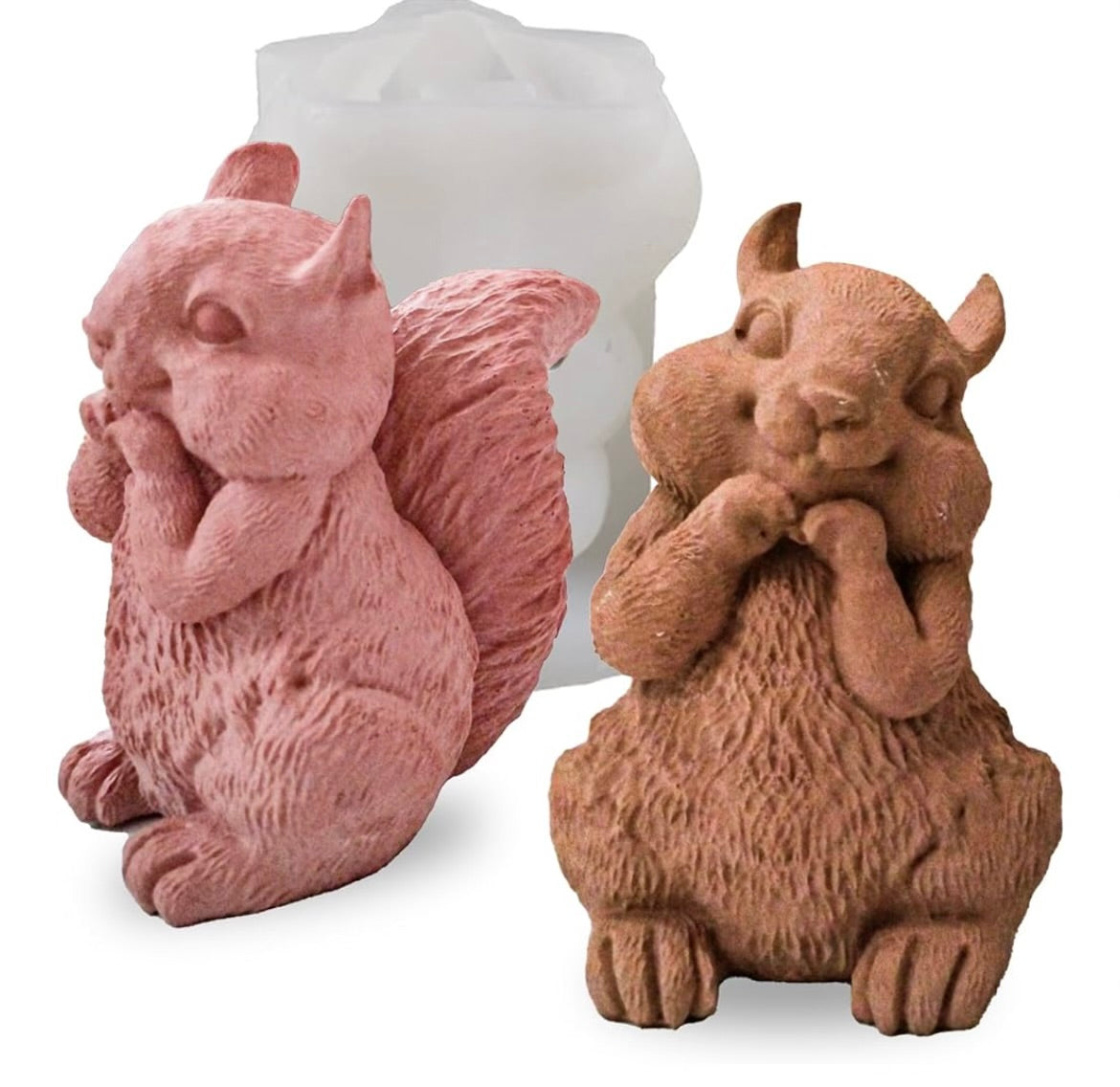 Adorable Squirrel 🐿️🍂🤎