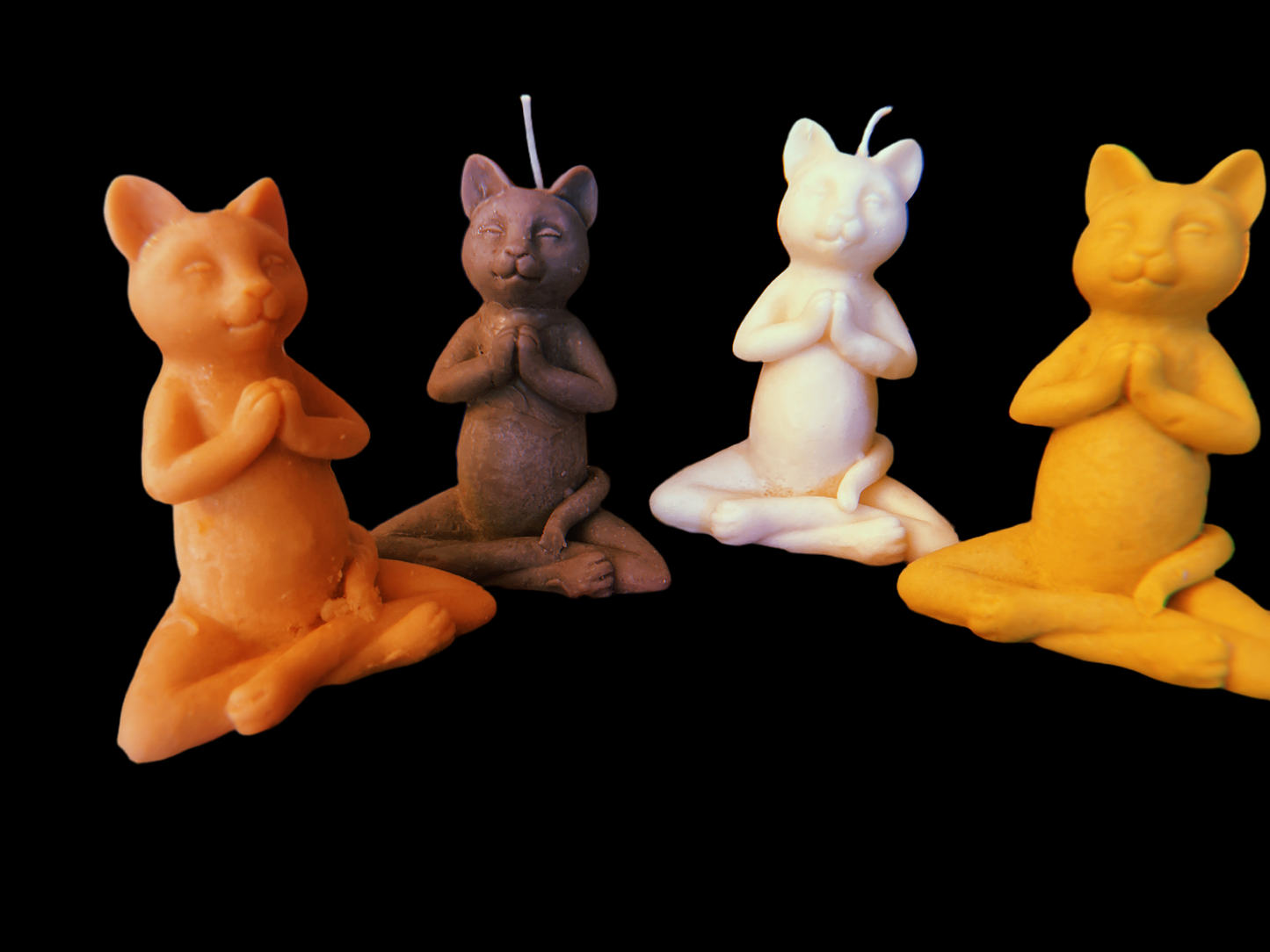 Yoga Animals