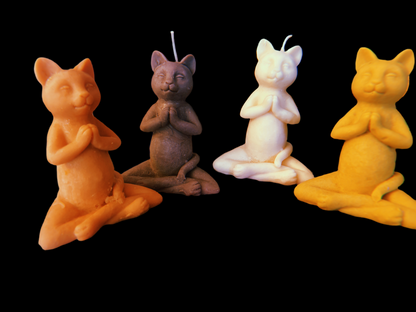 Yoga Animals