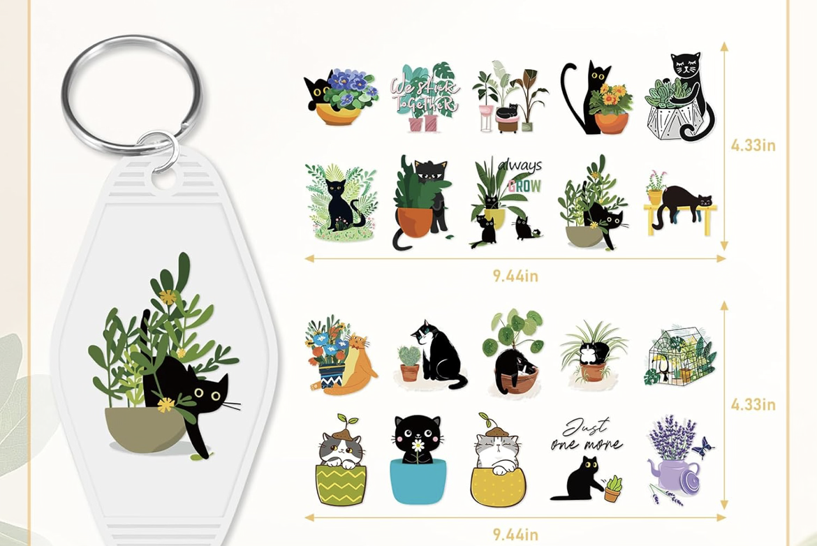 Black Cat designs 🐈‍⬛