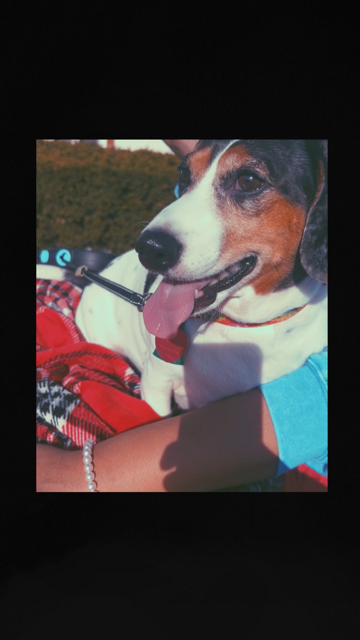 Tongue-Out Tuesday