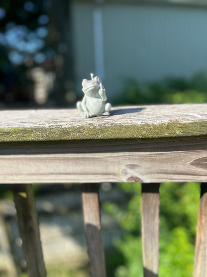 Middle Finger frog candle 🖕🏽🐸🕯️