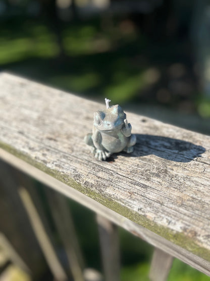Middle Finger frog candle 🖕🏽🐸🕯️