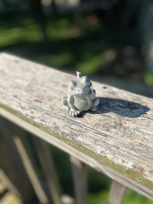 Middle Finger frog candle 🖕🏽🐸🕯️