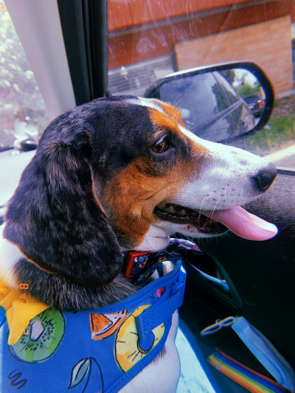 Tongue-Out Tuesday