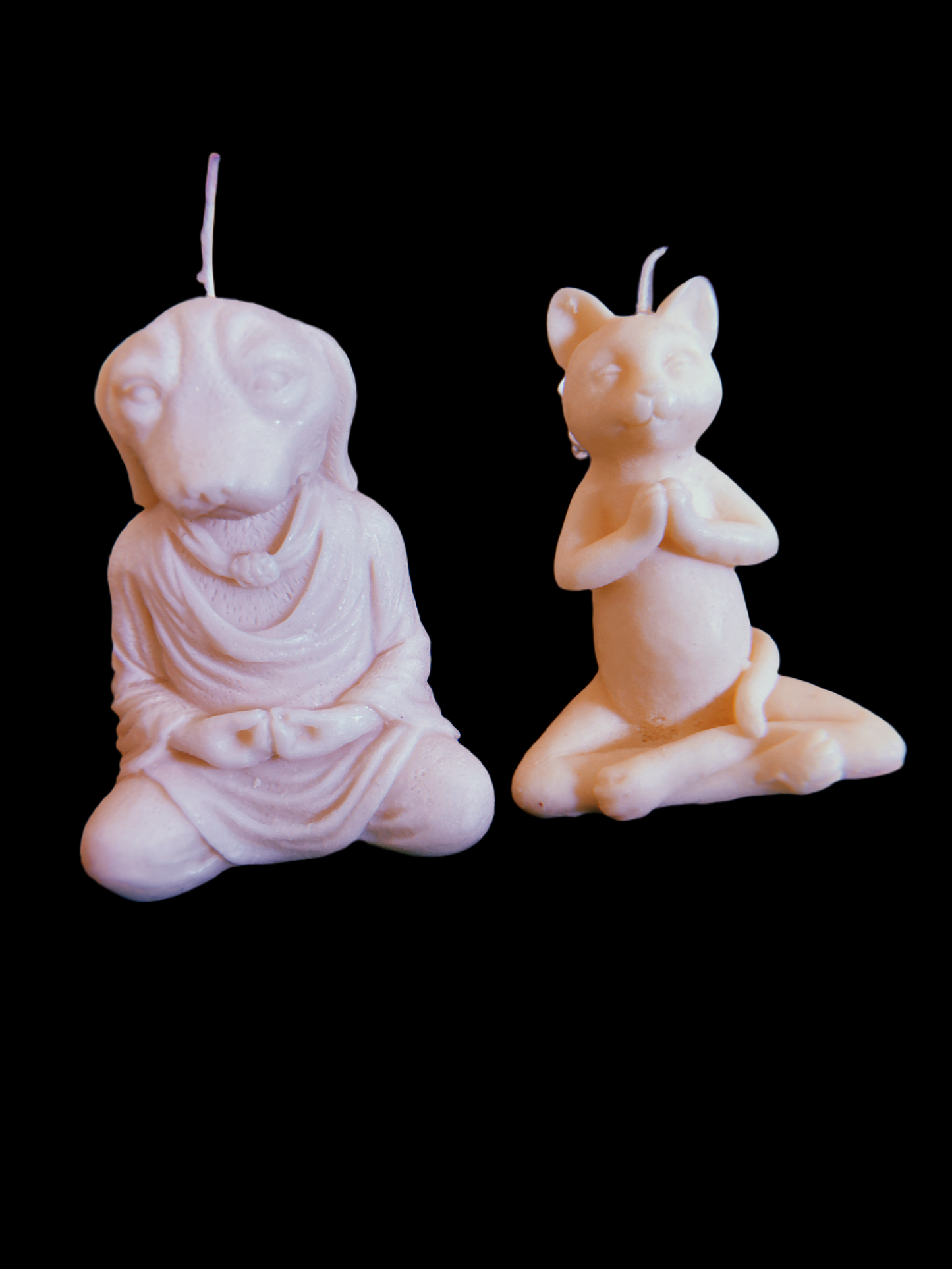 Yoga Animals