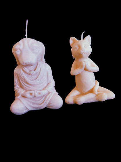 Yoga Animals