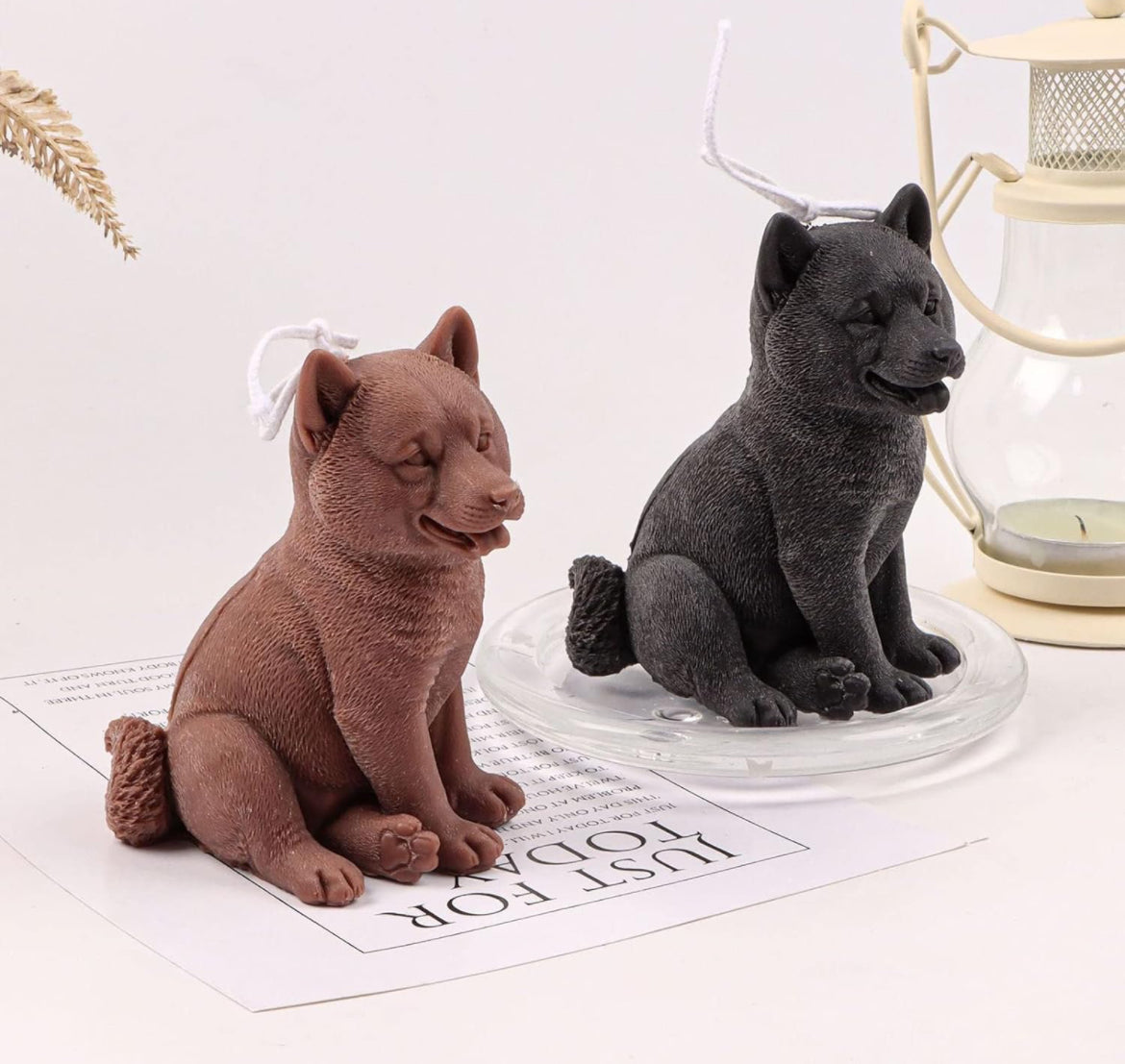 Shiba Inu sitting Candle 🐾