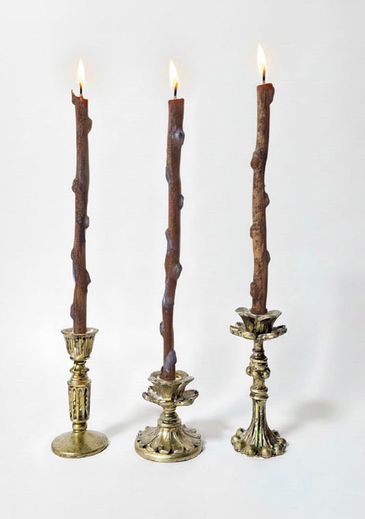 Birch Tree Candle 🪾🕯️