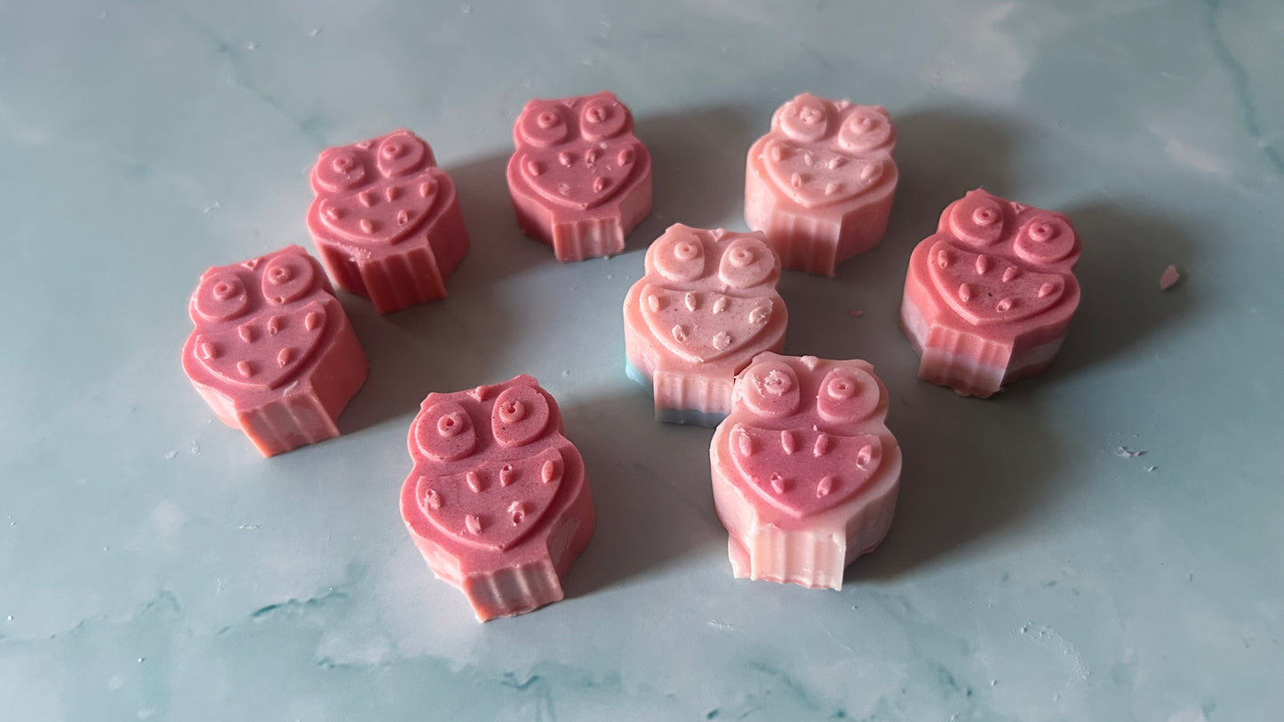 2 pack Mini Owl Wax Melts 🦉