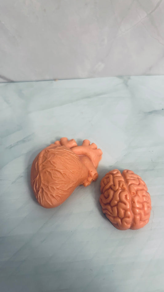 Brain-Heart melts 🧠❤️