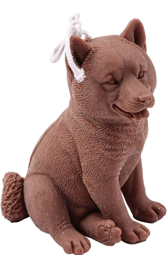 Shiba Inu sitting Candle 🐾