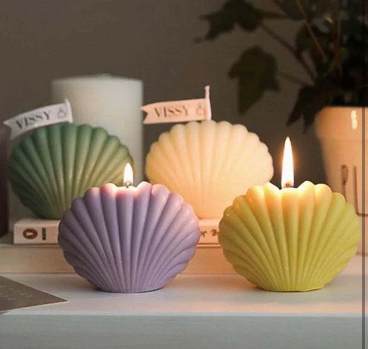 small Shell candle 🐚