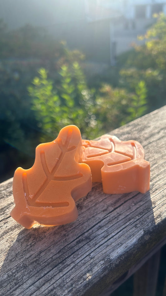 Acorn and leaf melts 🍁