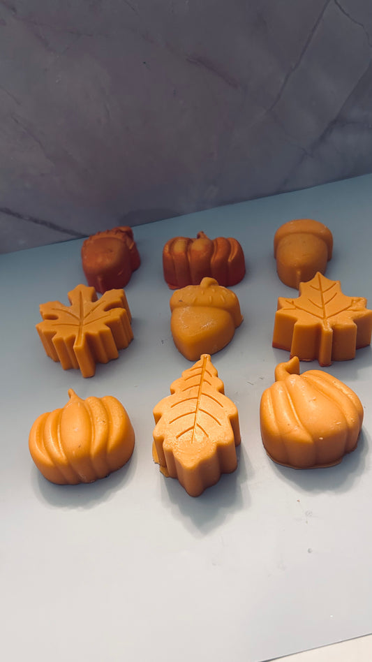 3D Pumpkin/Fall melts 🍁🎃