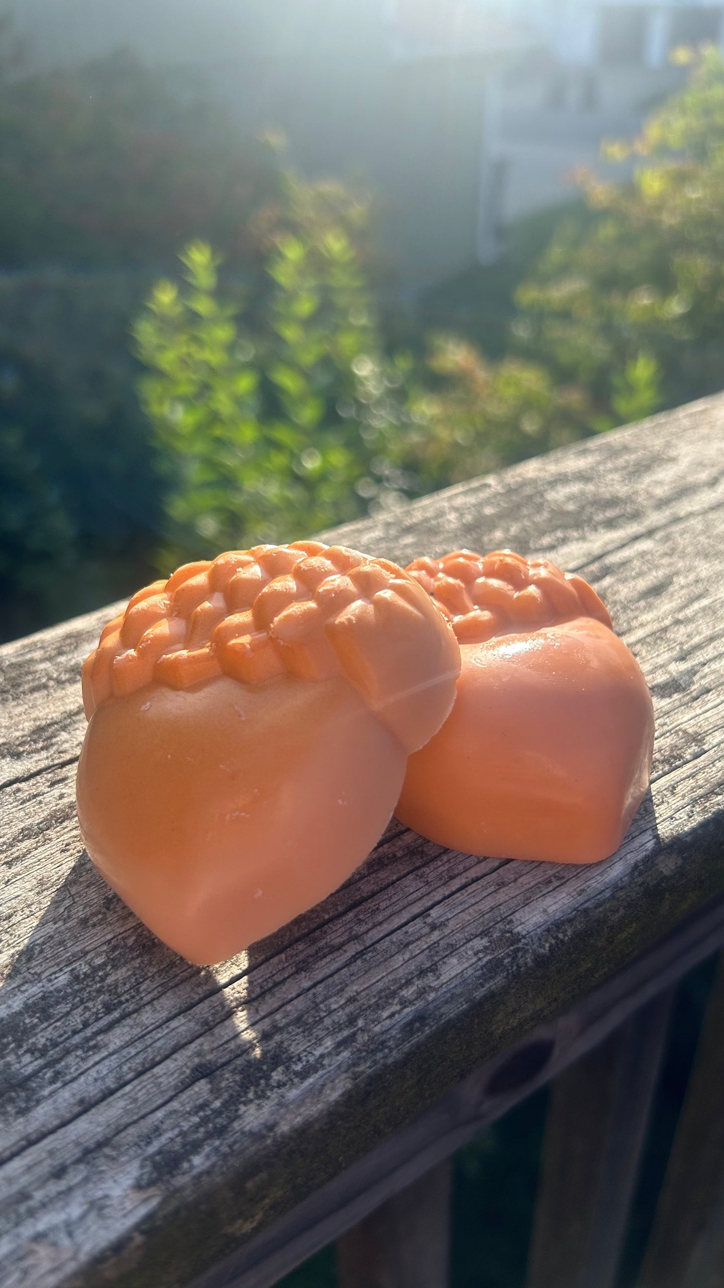 Acorn and leaf melts 🍁