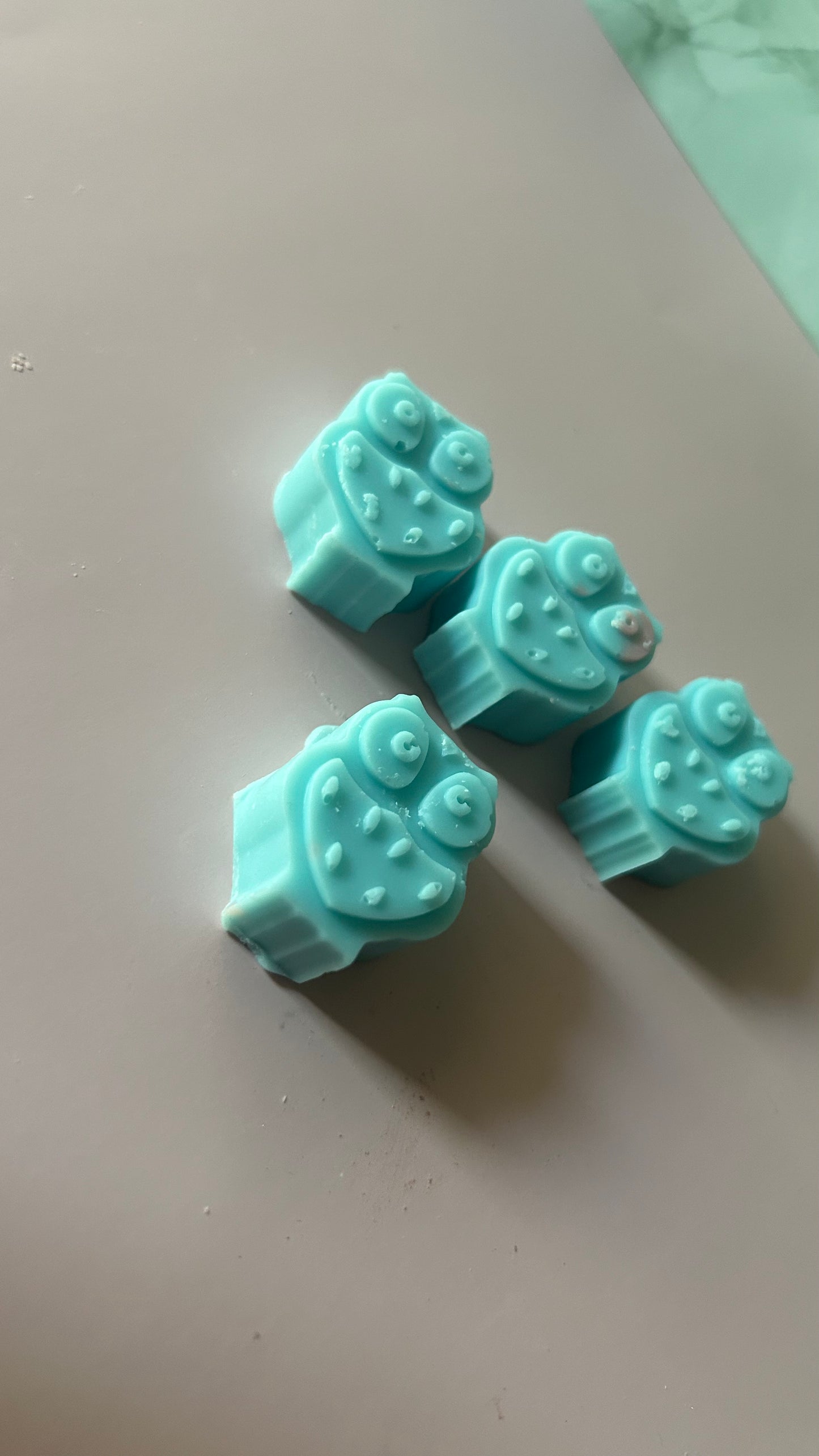 2 pack Mini Owl Wax Melts 🦉