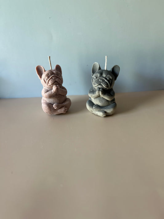meditating frenchies 🐾